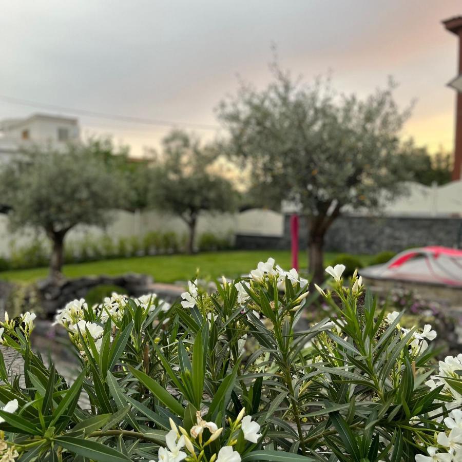 B&B Residenza Vittoria Boscotrecase Esterno foto
